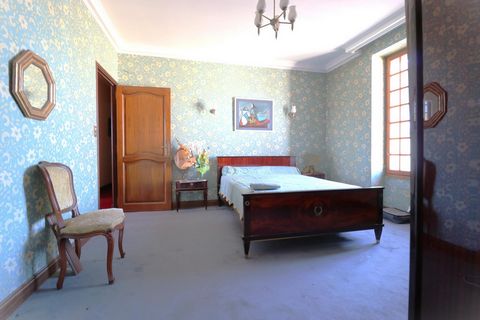 photo no. 6