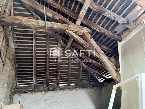 photo no. 15