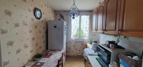 photo no. 4