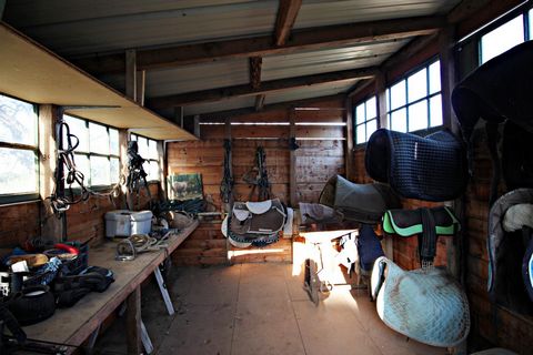 photo no. 16