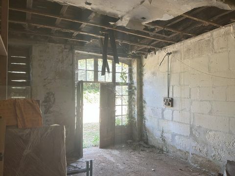 photo no. 17