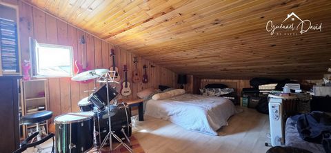 photo no. 12