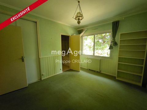 photo no. 8