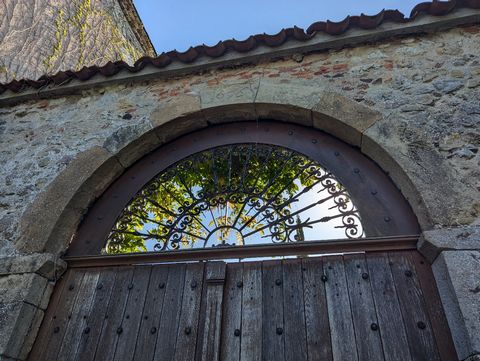 photo no. 19