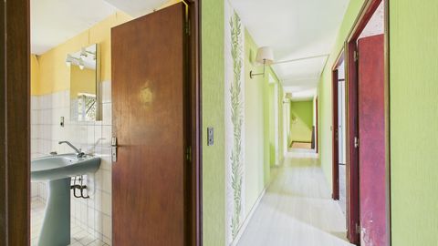 photo no. 12