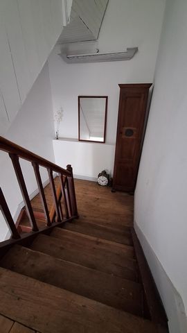 photo no. 8