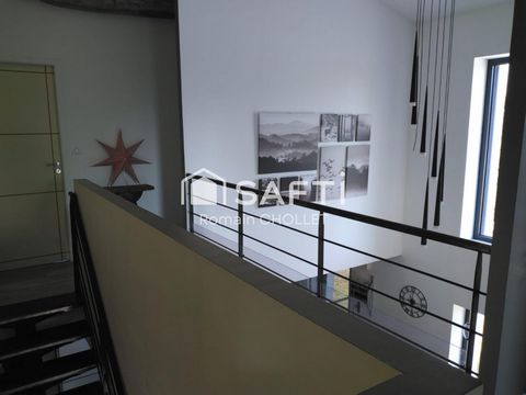 photo no. 2