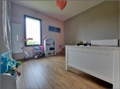 photo no. 11