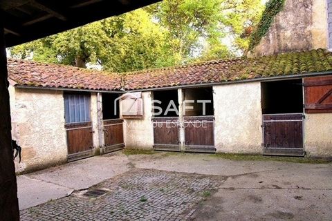 photo no. 10