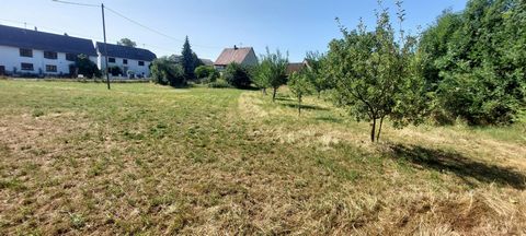 Beau terrain plat à bâtir de 8.6 ares à Dimbsthal