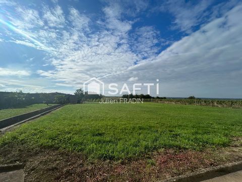 photo no. 4
