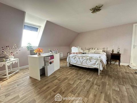 photo no. 16