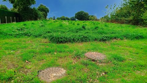 photo no. 2