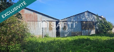 photo no. 8