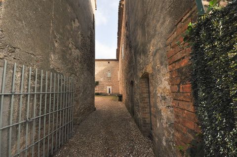 photo no. 26