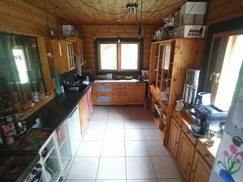 photo no. 3