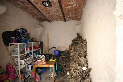 photo no. 8
