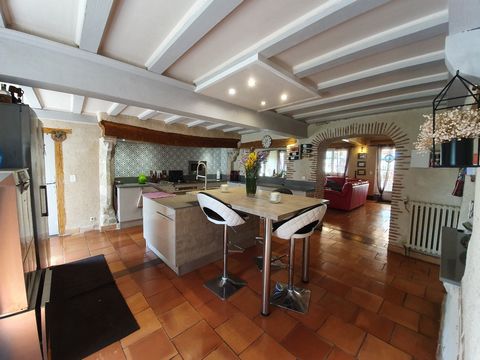 photo no. 12