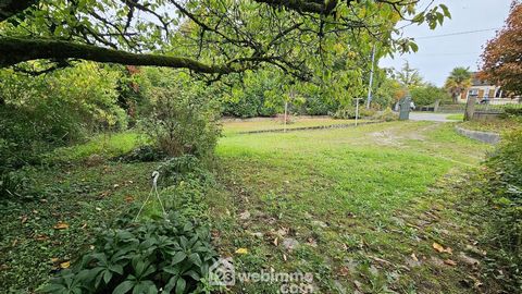 photo no. 18