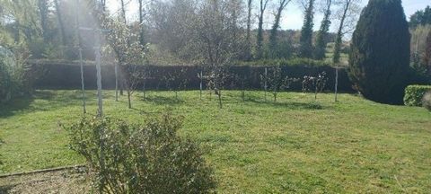 photo no. 9
