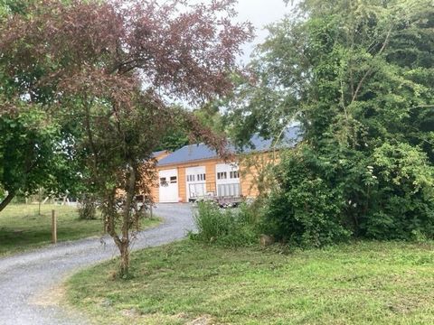 photo no. 12