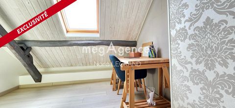 photo no. 6