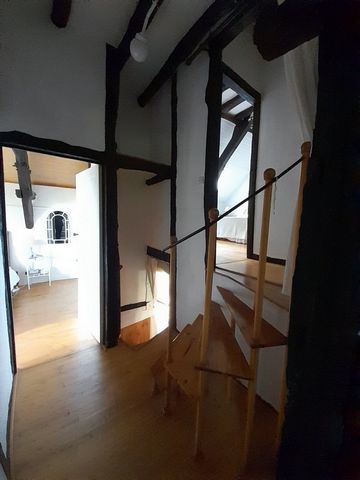 photo no. 14