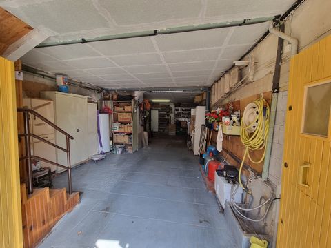 photo no. 10