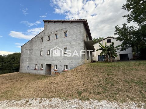 photo no. 14