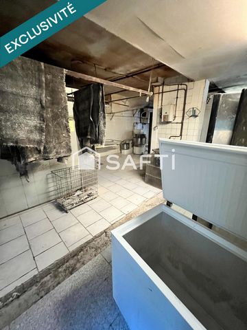 photo no. 10