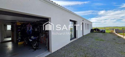 photo no. 13
