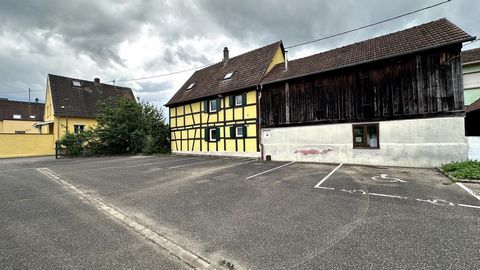 photo no. 12