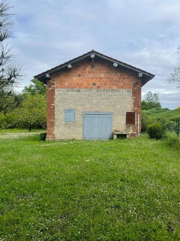 photo no. 4