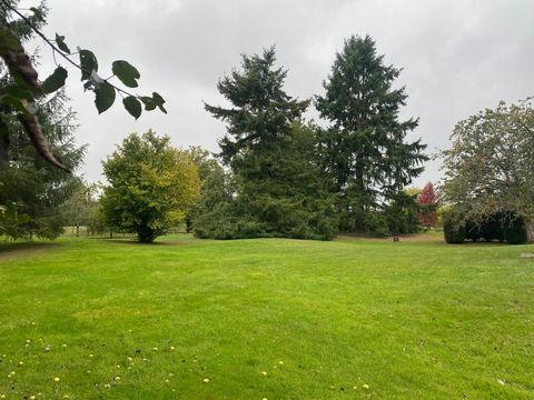 photo no. 2