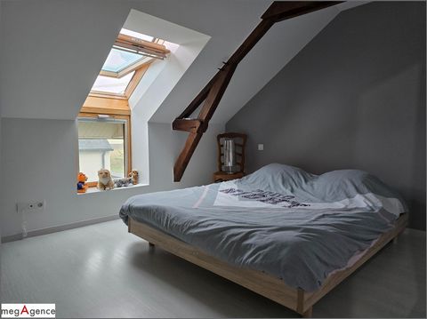 photo no. 13