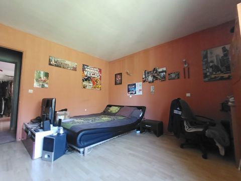 photo no. 5