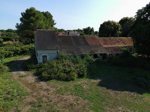 photo no. 4