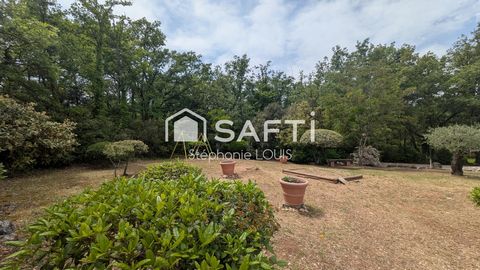 photo no. 15