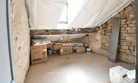 photo no. 15