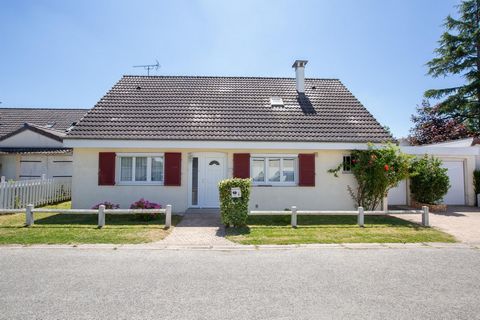 photo no. 16