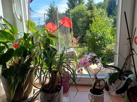 photo no. 21