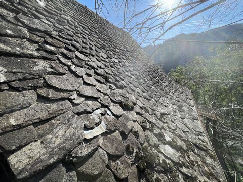 photo no. 12