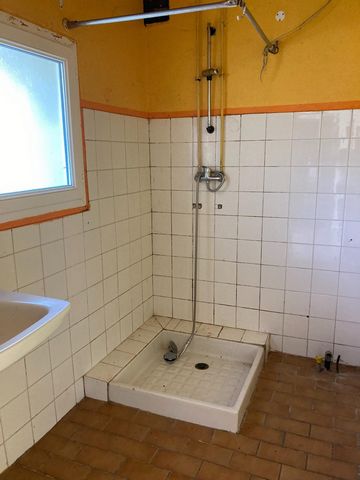 photo no. 11