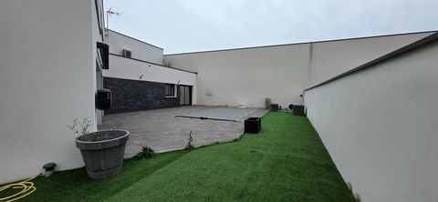 photo no. 16