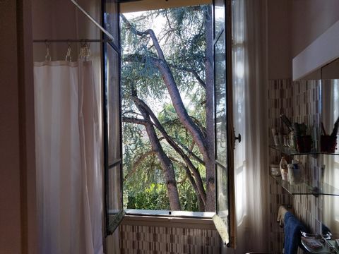 photo no. 14