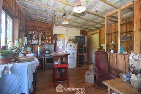 photo no. 15