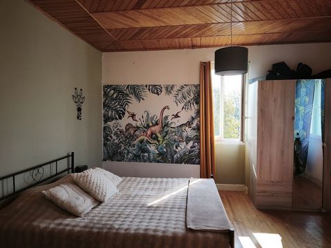 photo no. 11