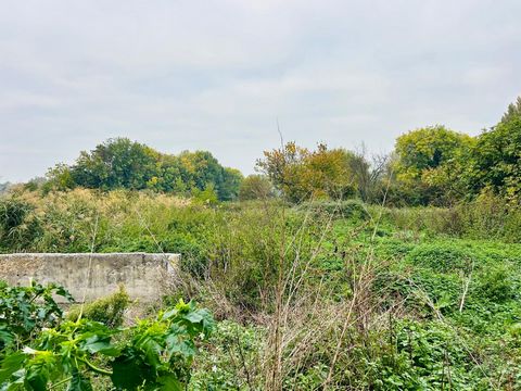photo no. 3