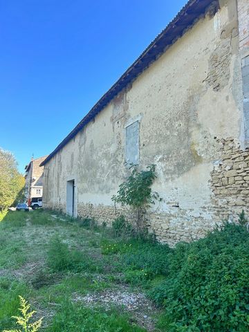 photo no. 4