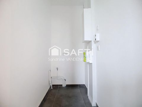 photo no. 11